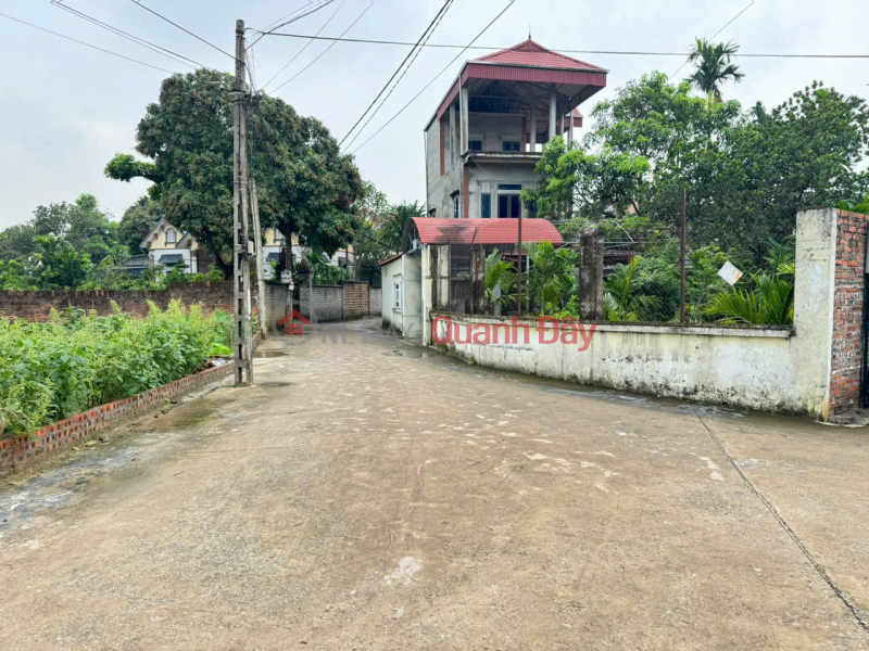 Leading the Trend - Thach Da Land, Me Linh - Central Location, Attractive Price | Vietnam | Sales đ 3.95 Billion