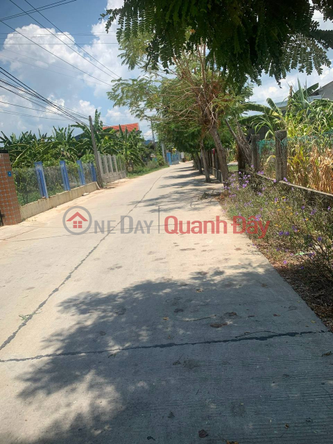Land for sale in the center of Dien Hong commune, book ready _0