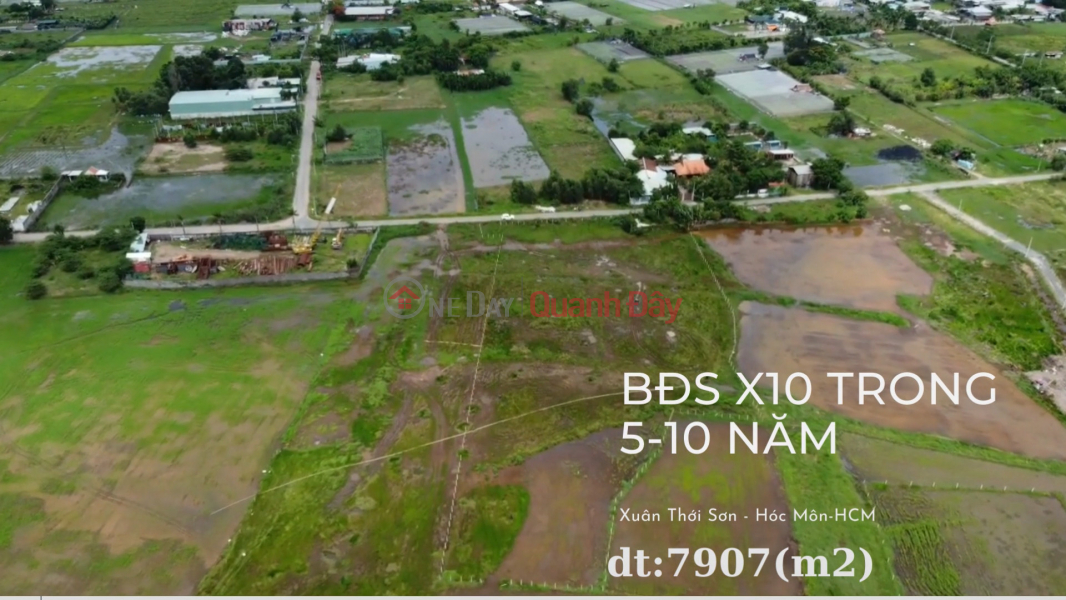Urgent sale of 7908m of land in Xuan Thoi Son commune, HocMon Sales Listings