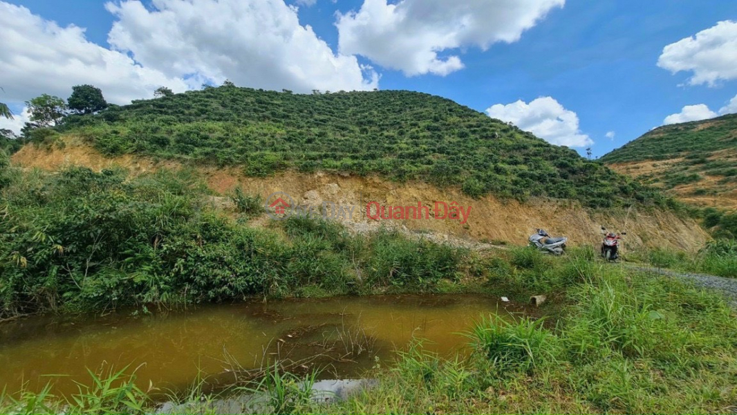 Beautiful Land - Good Price Owner Needs to Sell Land Plot Quickly in Bao Lam, Lam Dong Province Vietnam Sales, đ 2.7 Billion