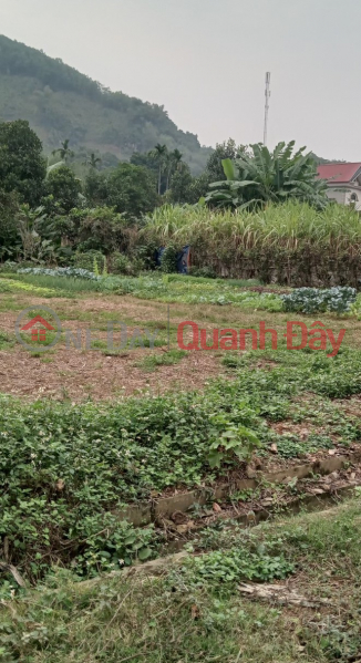 Owner needs money to sell 400m2 of residential land in Luong Son Hoa Binh, a few hundred meters from Highway 6, only 2.2 billion Sales Listings