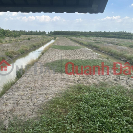 BEAUTIFUL LAND - GOOD PRICE - For Sale by Owner 17.5 acres of Lo Dal Land in Tan Tien, Vi Thanh, Hau Giang _0