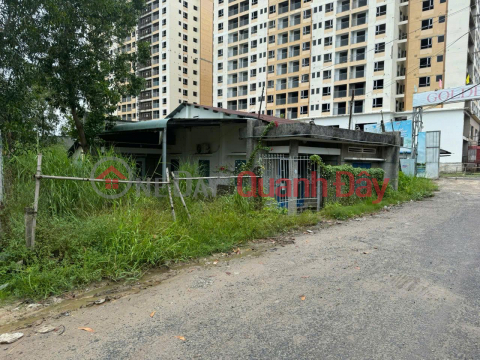 OWNER Sells Land Next to Goder Company Apartment, Ward 2, Tay Ninh City _0