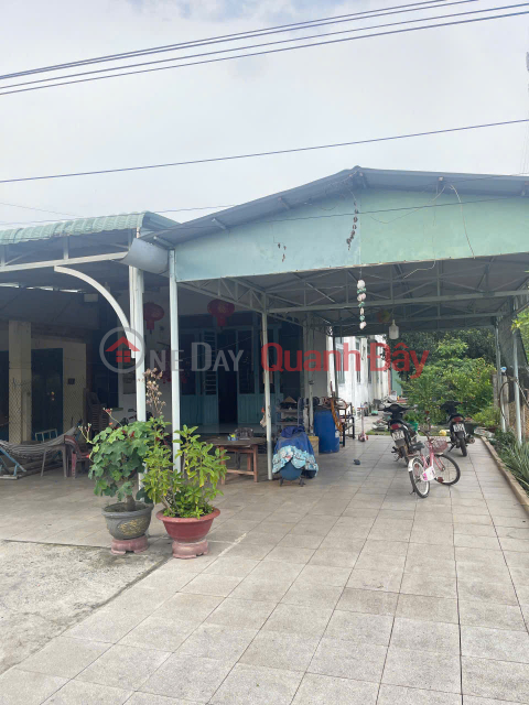 Selling 1017.4m2 House and Land Fronting Asphalt Road DT796 in Ninh Dien - Chau Thanh - Tay Ninh _0