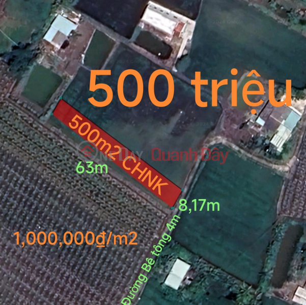 Urgent sale of land for annual plants in Duc Tan commune for 500 million (lowest price on the market) Sales Listings