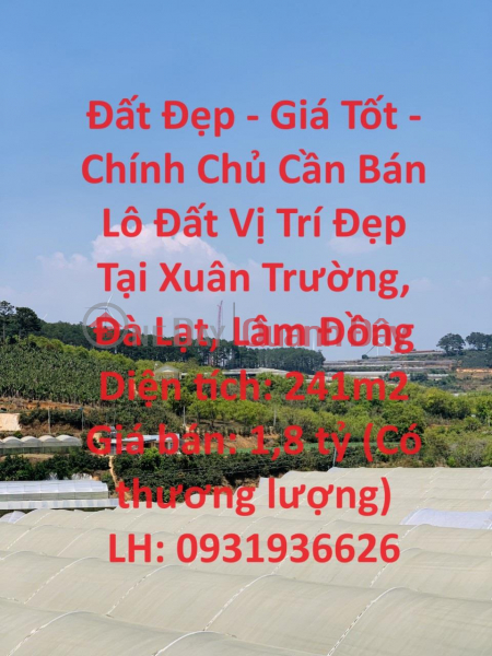 Beautiful Land - Good Price - Owner Needs to Sell Land Lot in Beautiful Location in Xuan Truong, Da Lat, Lam Dong Sales Listings