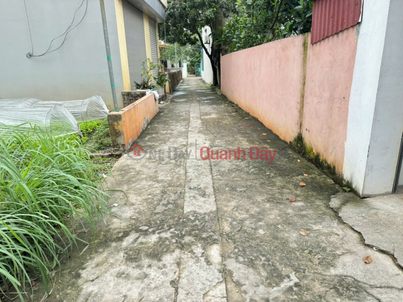 BÁN ĐẤT ĐẸP SÓC SƠN - THÁI LAI, MINH TRÍ - VỊ TRÍ VÀNG CHO NHÀ ĐẦU TƯ Niêm yết bán