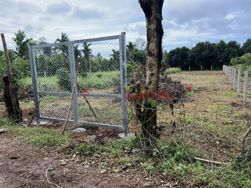 Property Search Vietnam | OneDay | Residential, Sales Listings, Owner For Sale Land Lot GENERAL Location In Cuor Dang Commune, Cu M'gar District, Dak Lak Province.