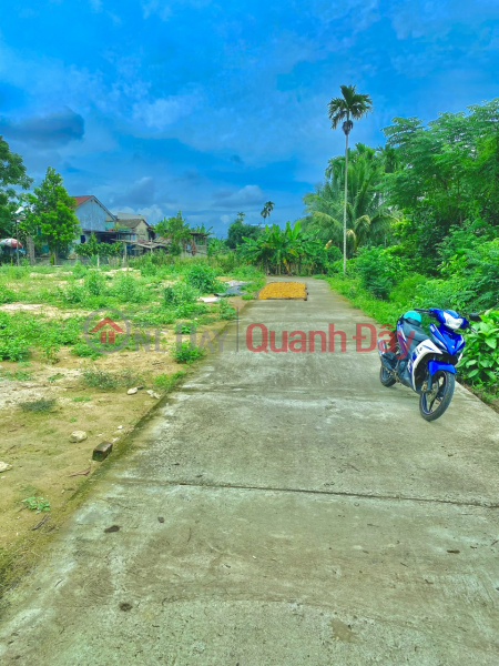 Land for sale near Cam Ly bridge, 3 lots adjacent to 7.5m concrete main road, price only 520 million Sales Listings