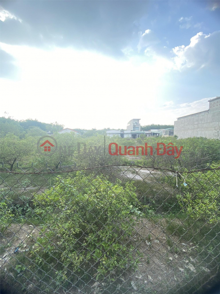 Beautiful Land - Good Price - Owner Needs To Move Quickly Good Location Land Plot In Bau Bang District, Binh Duong Province | Vietnam, Sales, ₫ 3.2 Billion