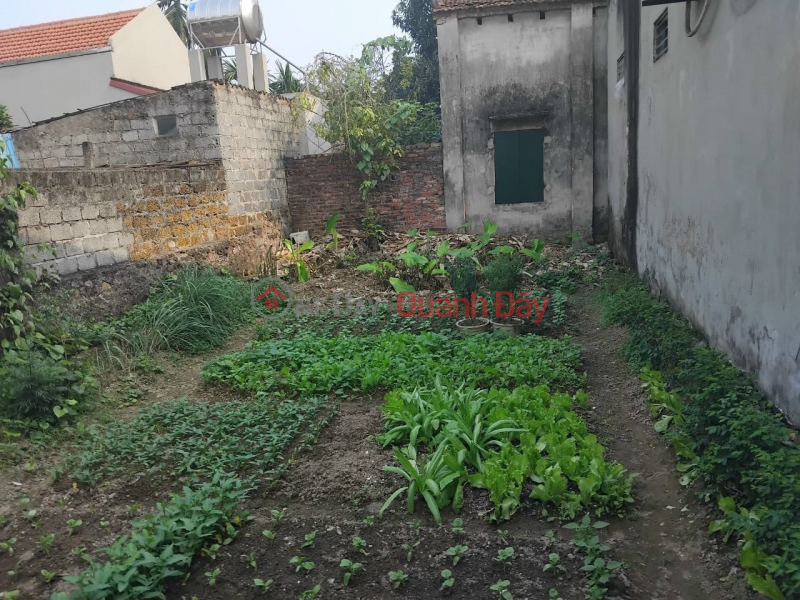 Consignment for sale 88m2, front yard=5.5m, 1.x billion, Xom Day, Dai Yen, Chuong My, Hanoi, car, alley, adjacent to TL419, Vietnam | Sales, đ 1.89 Billion