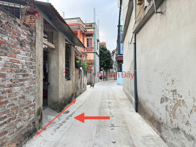 Cơ Hội Đầu Tư Hoặc An Cư Lý Tưởng Tại Tiền Phong, Mê Linh (60m², Full Thổ Cư) Niêm yết bán