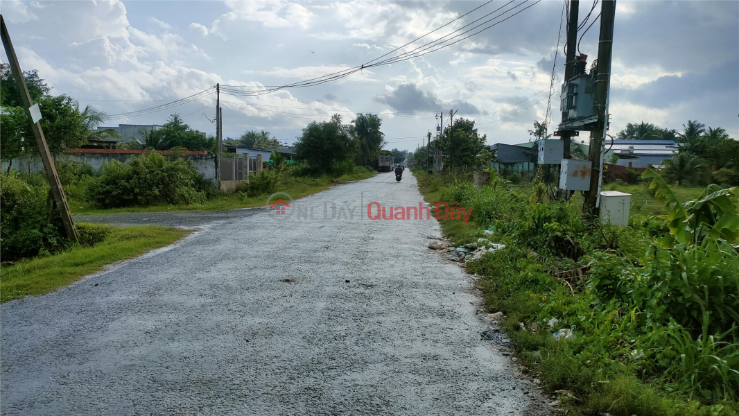 Busy residential area - Tay Ninh potential land is convenient for business! Sales Listings