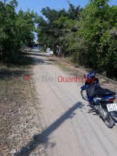 Agricultural land for sale at Luu Khanh Duc Street, Ward 2, City. Soc Trang. _0