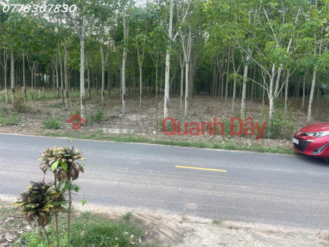 Land for sale on Lo Ren Street, Long Hoa, 4 billion VND, 880 m2, good price, beautiful view. _0