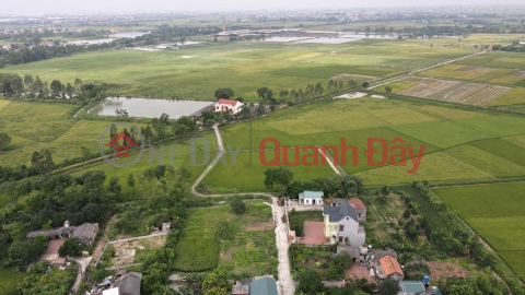Bán lô đất giá rẻ cho nhà đầu tư tại Lê Xá Dương Quang, Mỹ hào diện tích hơn 1340m2 full thổ cư _0