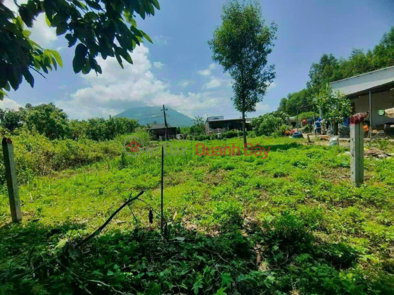 Land plot for sale in Dien Xuan commune, only 100m from Nhan Tam tourist area, area 340m2, price only 880 million Sales Listings