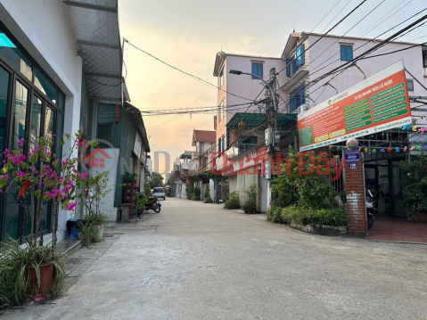 LAND FOR SALE 141M MAIN BUSINESS AXLE PRICE ONLY 4X IN CO DUONG, TIEN DUONG, DONG ANH _0