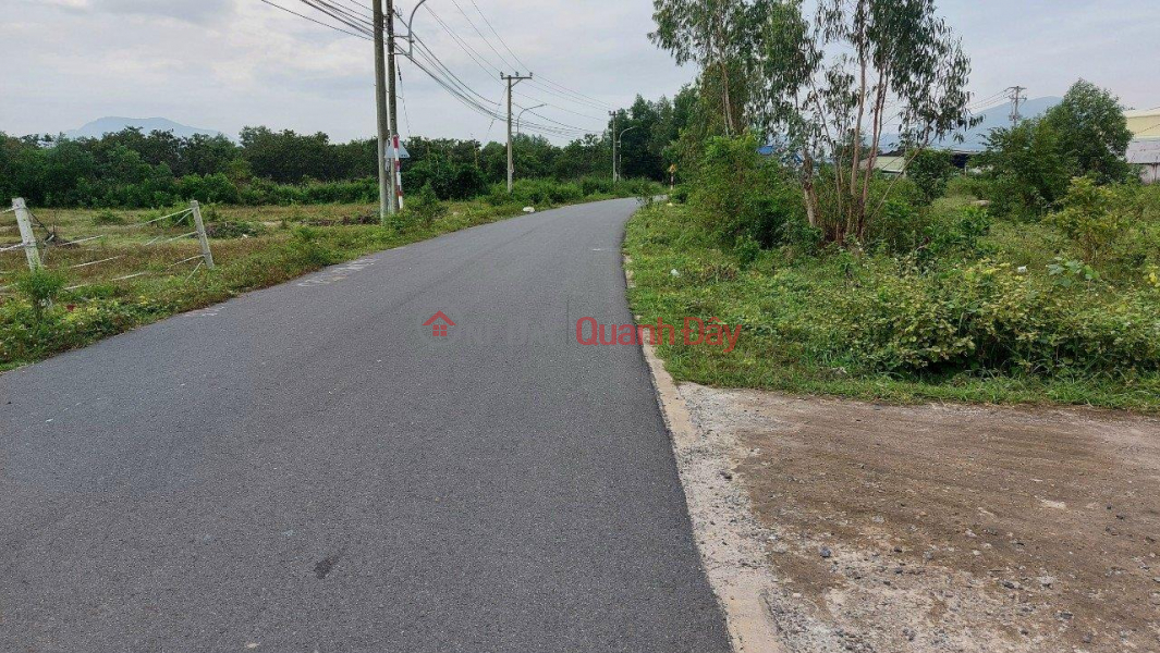 Owner Urgently Needs to Sell Land Front Lot in Hac Dich, Phu My Town, Ba Ria - Vung Tau, Vietnam Sales | đ 1.3 Billion