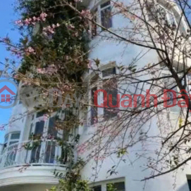 GARDEN VILLA FOR RENT - CO GIANG WARD 9 DA LAT _0