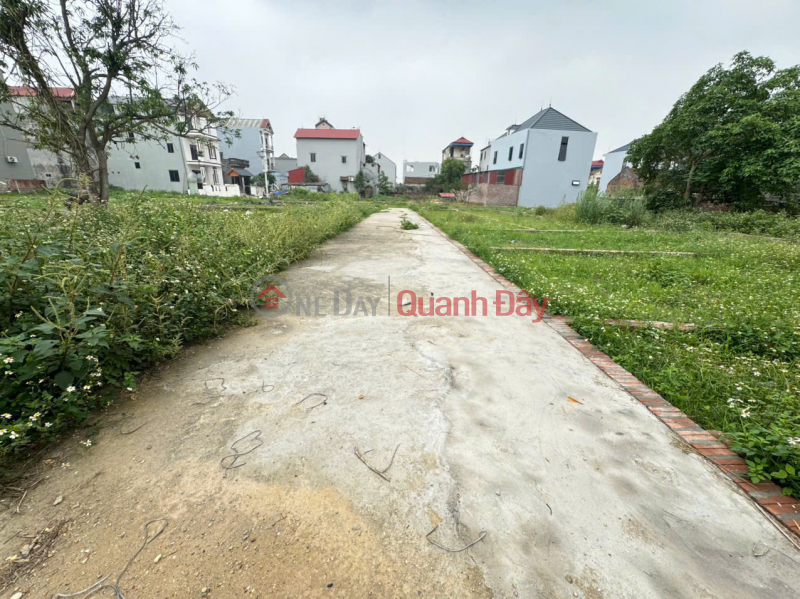 Beautiful land, Group 9, Quang Minh Town, Me Linh. Near Industrial Park and Tue Tinh Medical and Pharmaceutical College, Vietnam Sales, đ 2.3 Billion