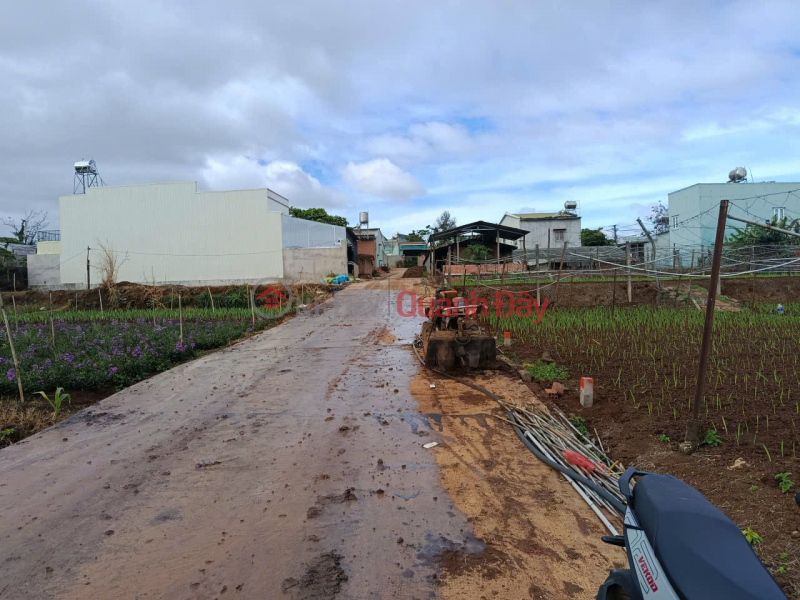 Property Search Vietnam | OneDay | Residential Sales Listings, LAND FOR SALE BY OWNER - GOOD PRICE. OWNER NEEDS TO SELL QUICKLY. BEAUTIFUL PLOT OF LAND at Alley 52 An Duong Vuong, Gia Lai.