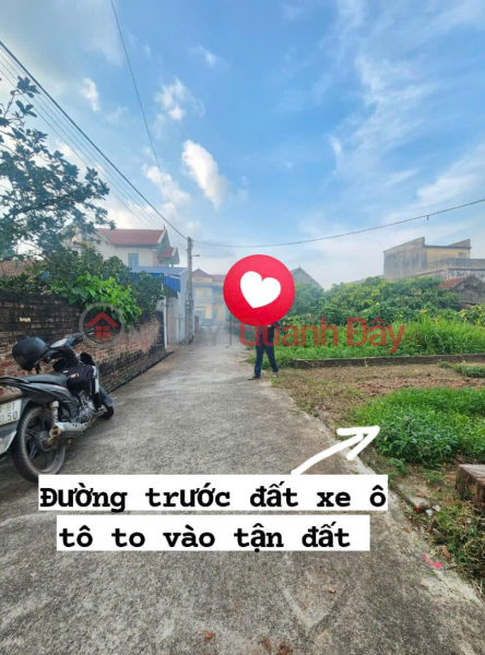 Bán đất Tấn Dân Khoái Châu diện tích 100m mặt tiền hơn 5m đường oto thông giá đầu tư Niêm yết bán