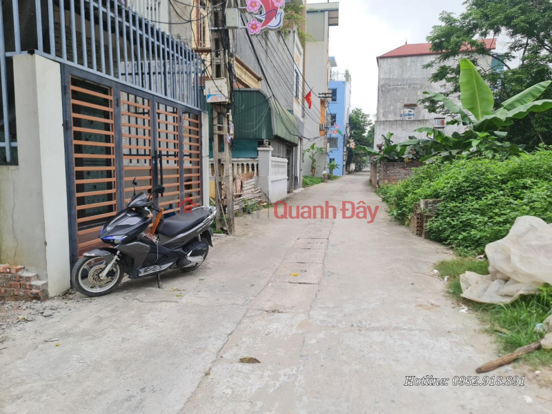 BEAUTIFUL LAND - THE OWNER NEEDS TO SELL "THE VILLAGE COVER" LOT OF LAND at Nhi Village, Van Noi Commune, Dong Anh, Hanoi Sales Listings