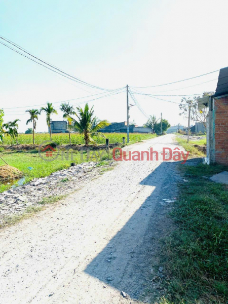 Property Search Vietnam | OneDay | Nhà ở | Niêm yết bán, CHÍNH CHỦ CẦN BÁN NHANH 2 Lô Đất Liền Kề Tại Xã Mỹ Hạnh Bắc, Đức Hòa, Long An