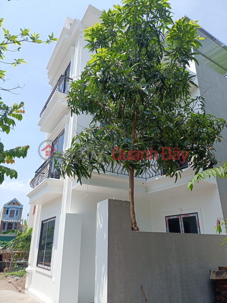 Newly built 3-storey house for sale in Vien Van Noi Dong Anh for just over 2 billion, Vietnam, Sales, đ 2.7 Billion