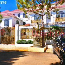 Bán đất đẹp xuất sắc tại Phường Trà Đa, Plei Ku, Gia Lai, DT 198 m2, giá 12 triệu/m2 _0