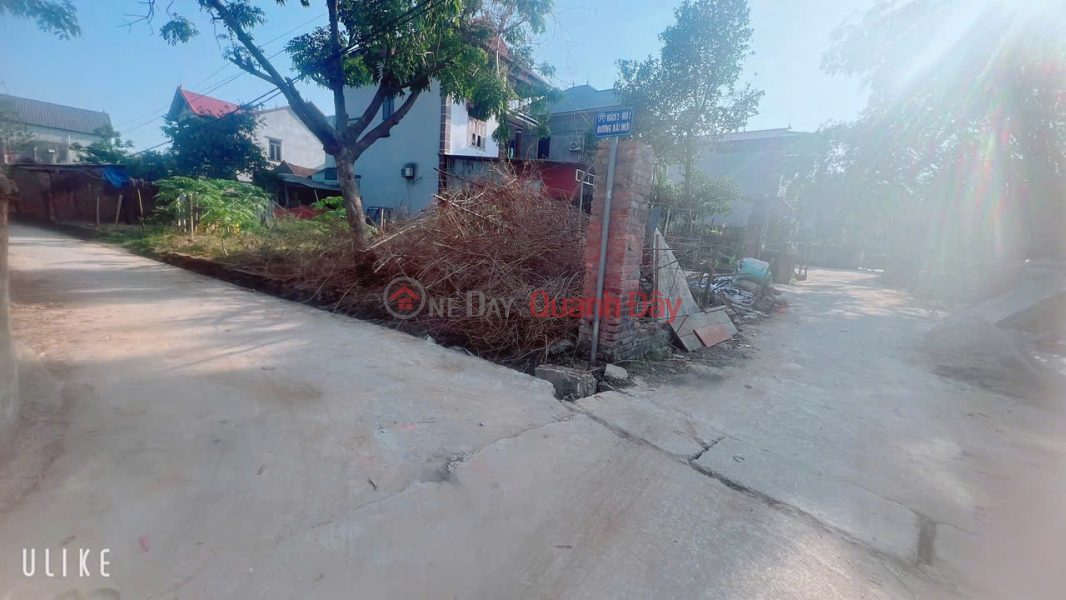 Property Search Vietnam | OneDay | Residential, Sales Listings 2-FRONT CORNER LOT IN XUAN DONG TAN MIMH SOC SON HANOI, PRICE IS ONLY MORE THAN 100,000 VND. LOT OF BEAUTY QUEEN, AREA 81 M2