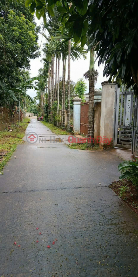 Chính chủ cần bán nhanh lô đất 2 mặt tiền, có sẵn nhà kiên cố, gần Quốc lộ 26 _0