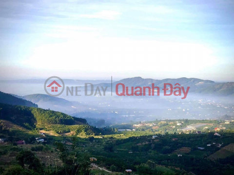 BEAUTIFUL LAND - GOOD PRICE - OWNER 5000m2 Land Lot For Sale In Dong Thanh, Lam Ha _0