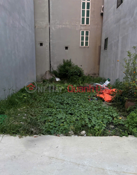 Đất đẹp tổ 9, TT Quang Minh, Mê Linh, gần trường CD Y dược Tuệ Tĩnh và KCN, Việt Nam | Bán đ 2,55 tỷ