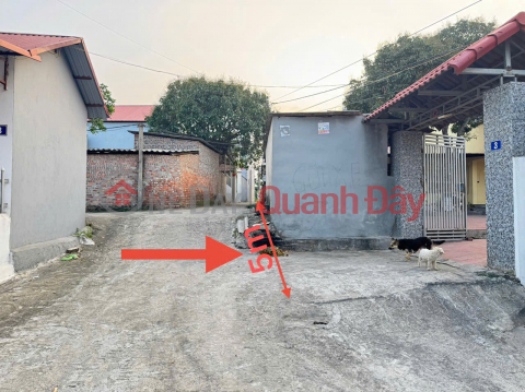 Đầu Tư Sinh Lời Hoặc An Cư Lý Tưởng Tại Thôn Xuân Lễ, Tân Dân, Sóc Sơn - Mảnh Đất 90m² Đắc Địa _0