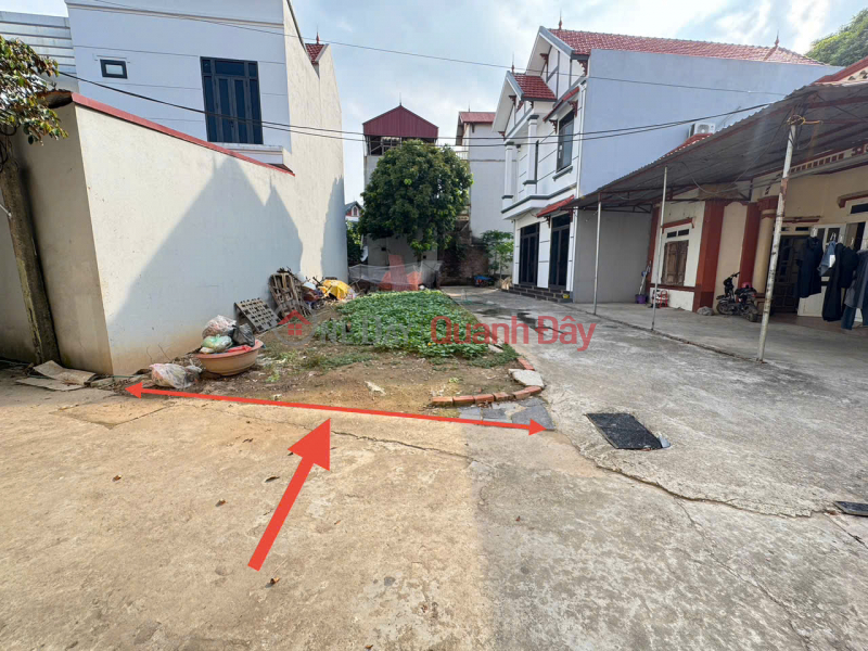 58m Trang Viet, Me Linh, Hanoi. Corner lot, two frontages, ahead of Thuong Cat bridge project Sales Listings