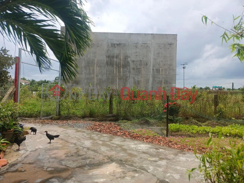 PRIMARY LAND - Garden House for Sale, Thanh Phu Long Commune, Chau Thanh District - Long An _0