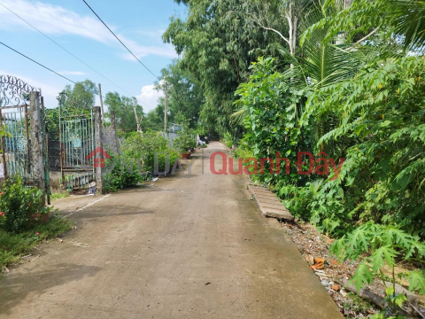 Selling background to build a villa with river view 240m2 near Sa Dec Park Dong Thap _0