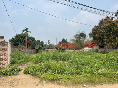 Bán lô đất 106,9 m2 tại khu An Ninh 2 Mạn Lạn, xã Hoàng Cương – Phú Thọ. _0