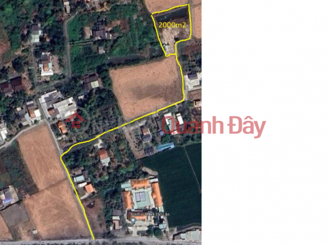 CHÍNH CHỦ Bán 2000m2 Đất Lúa Tại Xã Tân Lân, Huyện Cần Đước, Long An _0