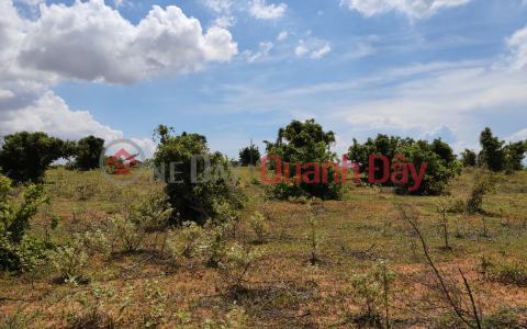 6.480m2 đất vườn, cách đường liên xã 500m, view đất đẹp. _0