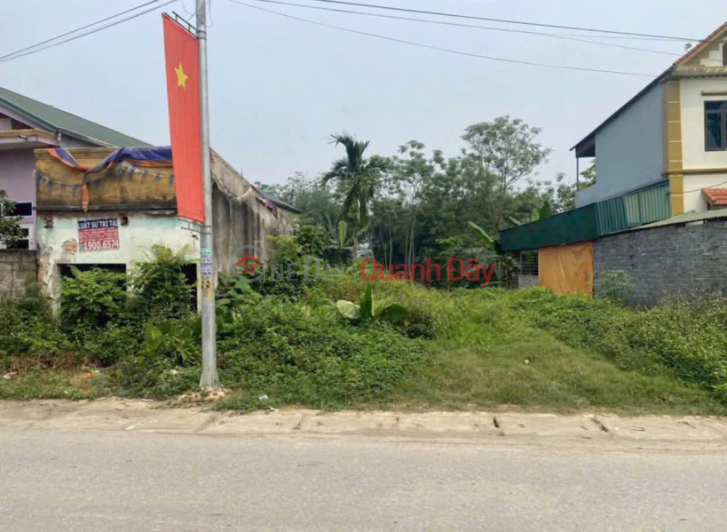 Property Search Vietnam | OneDay | Residential | Sales Listings | OWNER'S LAND - Prime location on the main business axis of Luong Son - Near resorts and homestays