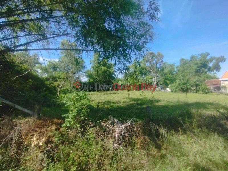 đ 1.25 Billion Beautiful Land - Good Price - Owner Sells Land Plot Quickly at Tu Ngoc, Binh Tu, Thang Binh District, Quang Nam