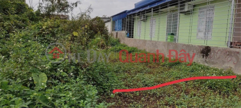 Lô đất 131m² giá chỉ 12,x tr/m² – trung tâm Quý Kim, Hợp Đức, Đồ Sơn! ZALO 0567 222 555 _0