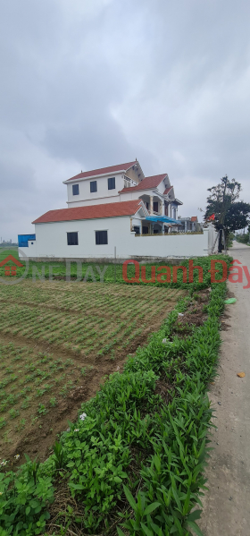 Roadside Land for Sale, Kien Xuong District, Thai Binh, 1400m2 Sales Listings