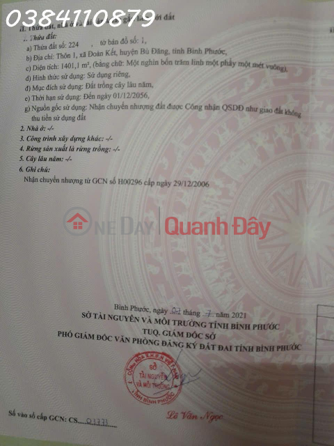 BÁN 9 HÉC CAO SU & ĐIỀU – THỰC TẾ GẦN 10 HÉC – BÙ ĐĂNG, BP, 5,8 TỶ _0