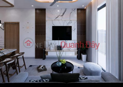 De La Thanh House is 25m from the city, large area, wide frontage, investment price, online business _0