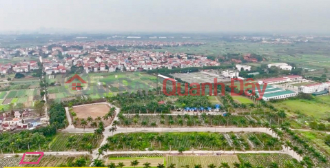 Beautiful Land - Good Price - Owner Needs to Sell Villa Land Lot BT2.09 Hoang Van, Tien Phong Commune, Me Linh District, Ha City _0