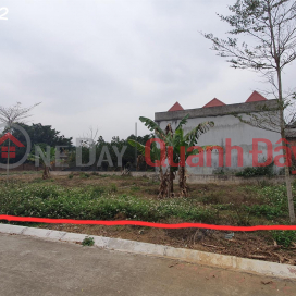 The owner needs to sell 2 adjacent plots of residential land in Doi Sen Village, Binh Yen Commune, Thach That _0